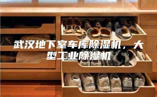 武汉地下室车库除湿机，大型工业除湿机