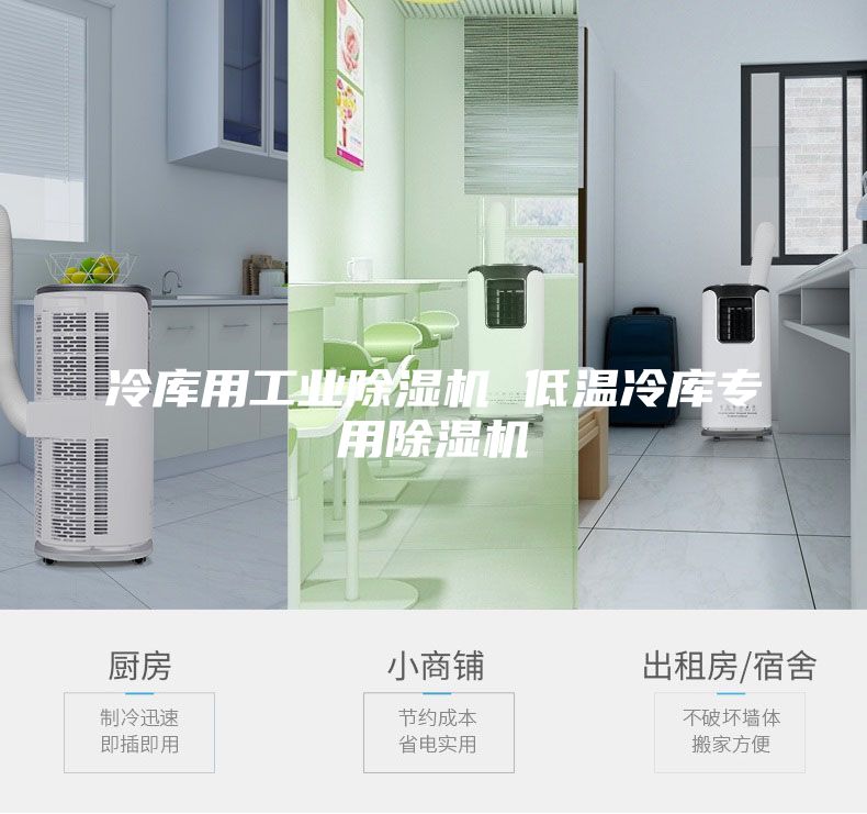 冷库用工业除湿机 低温冷库专用除湿机