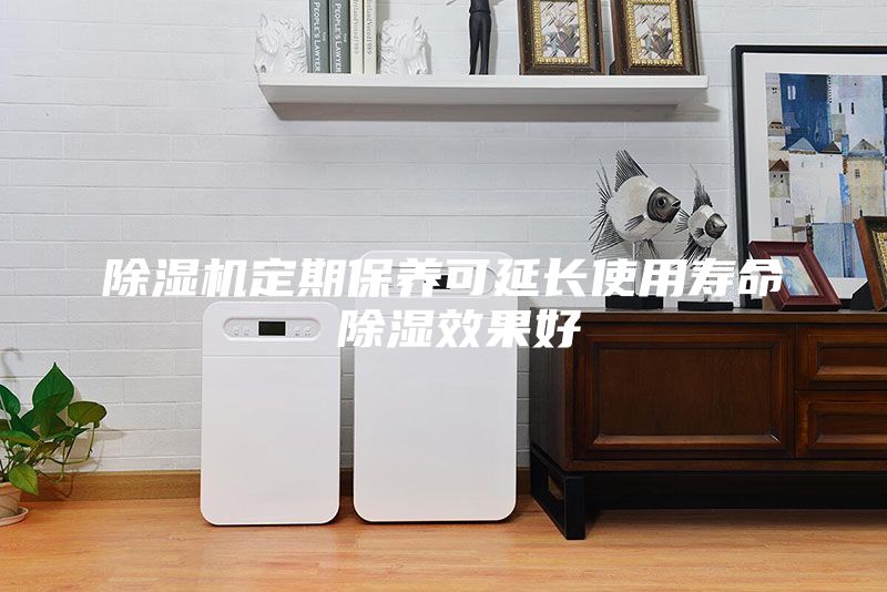 除湿机定期保养可延长使用寿命 除湿效果好