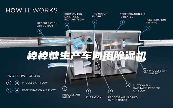 棒棒糖生产车间用除湿机