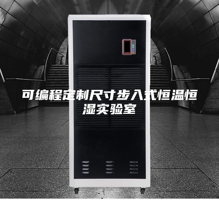 可编程定制尺寸步入式恒温恒湿实验室