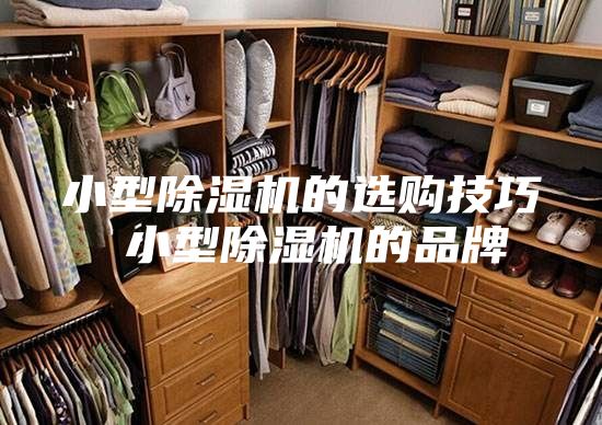 小型除湿机的选购技巧 小型除湿机的品牌