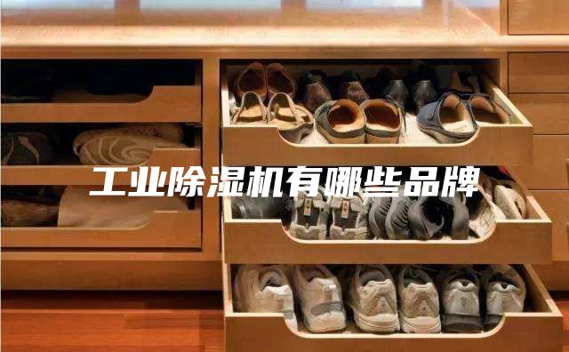 工业除湿机有哪些品牌