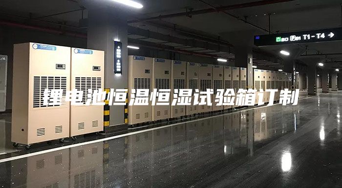 锂电池恒温恒湿试验箱订制