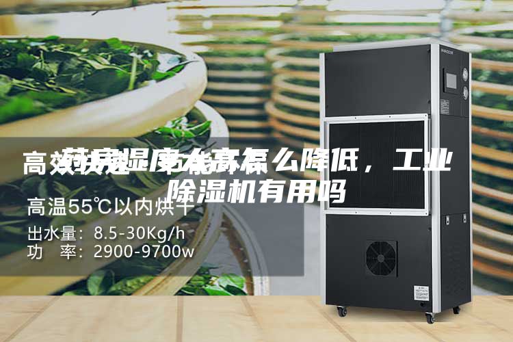 药房湿度太高怎么降低，工业除湿机有用吗