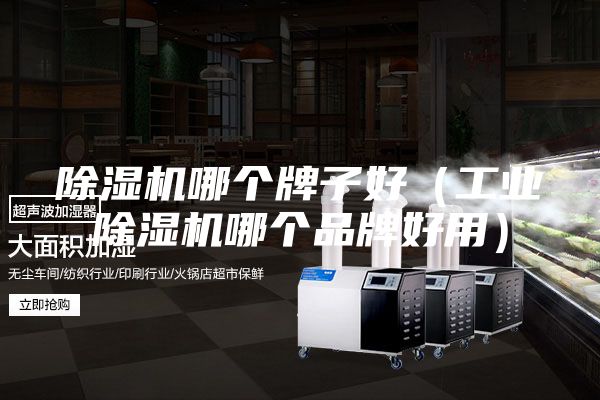 除湿机哪个牌子好（工业除湿机哪个品牌好用）