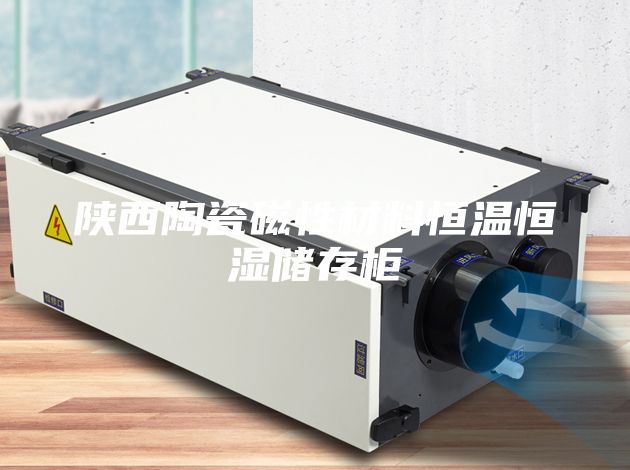 陕西陶瓷磁性材料恒温恒湿储存柜