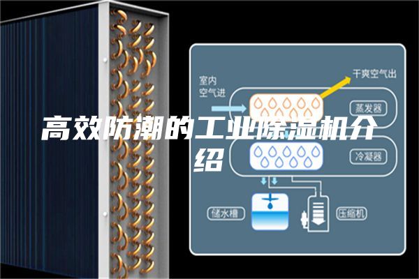 高效防潮的工业除湿机介绍