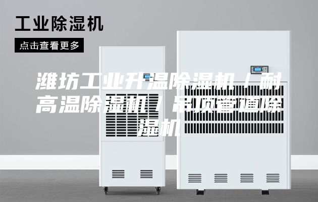 潍坊工业升温除湿机／耐高温除湿机／吊顶管道除湿机