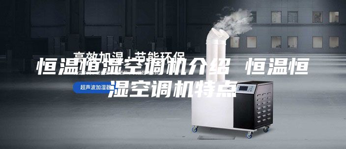 恒温恒湿空调机介绍 恒温恒湿空调机特点