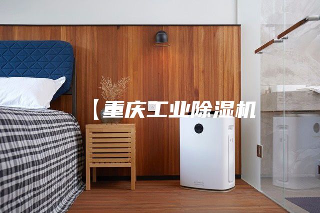 【重庆工业除湿机