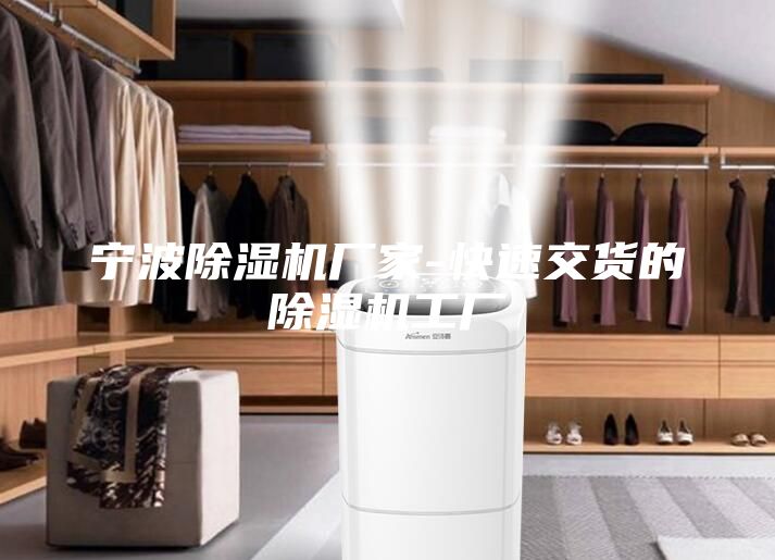 宁波除湿机厂家-快速交货的除湿机工厂