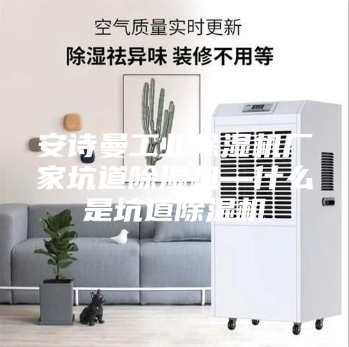 安诗曼工业除湿机厂家坑道除湿机—什么是坑道除湿机
