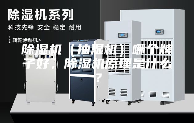 除湿机（抽湿机）哪个牌子好，除湿机原理是什么？