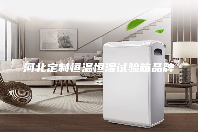 河北定制恒温恒湿试验箱品牌