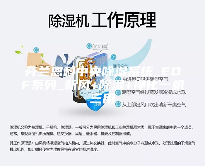 芬兰恩科中央除湿系统_EDF系列_新风+除湿+净化一机三用