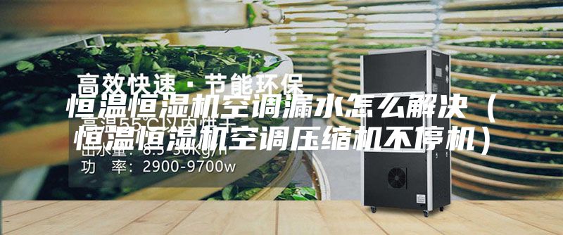 恒温恒湿机空调漏水怎么解决（恒温恒湿机空调压缩机不停机）