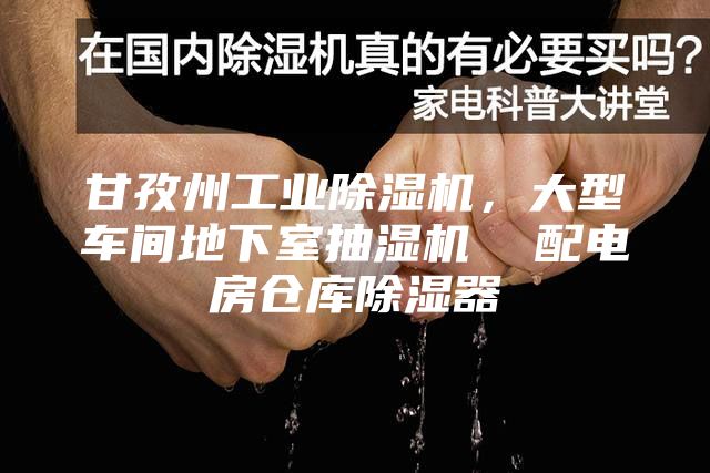 甘孜州工业除湿机，大型车间地下室抽湿机  配电房仓库除湿器