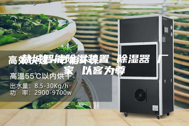 盐城智能除湿装置 除湿器 厂家 以客为尊