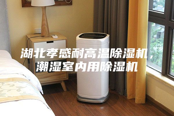 湖北孝感耐高温除湿机，潮湿室内用除湿机
