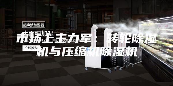 市场上主力军：转轮除湿机与压缩机除湿机