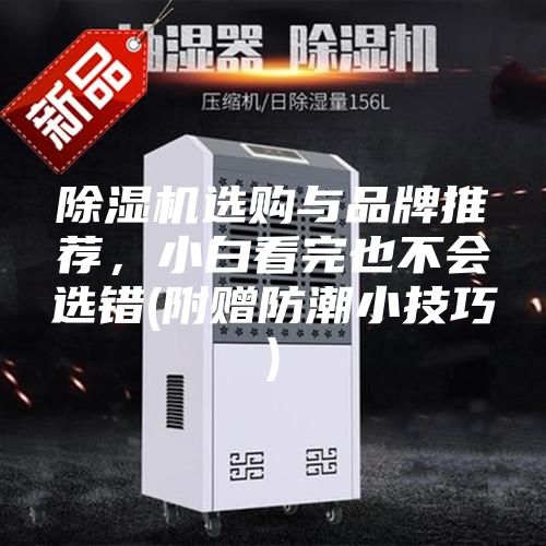 除湿机选购与品牌推荐，小白看完也不会选错(附赠防潮小技巧)