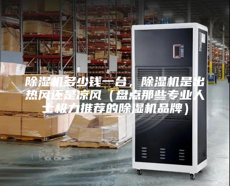 除湿机多少钱一台,除湿机是出热风还是凉风(盘点那些专业人士极力推荐的除湿机品牌)
