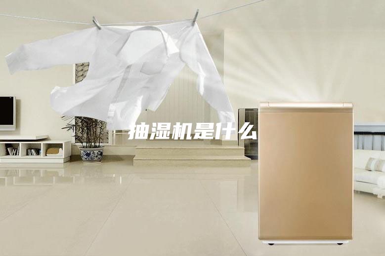 抽湿机是什么