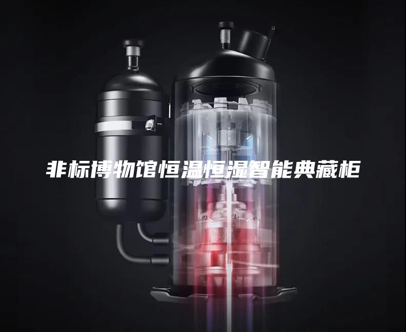 非标博物馆恒温恒湿智能典藏柜