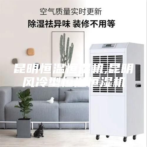 昆明恒温恒湿机,昆明风冷型恒温恒湿机