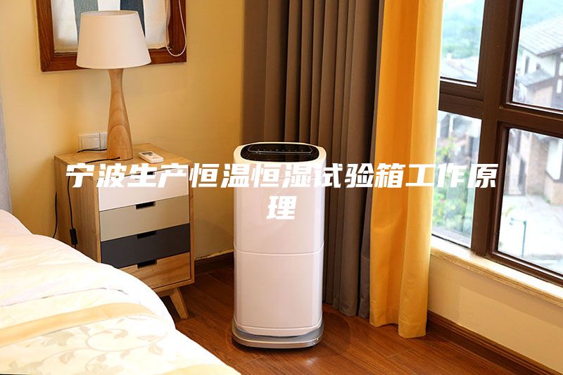 宁波生产恒温恒湿试验箱工作原理
