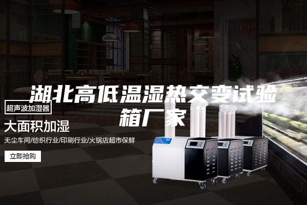 湖北高低温湿热交变试验箱厂家