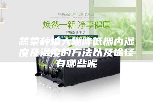 蔬菜种植大棚降低棚内湿度及温度的方法以及途径有哪些呢