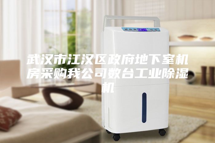 武汉市江汉区政府地下室机房采购我公司数台工业除湿机