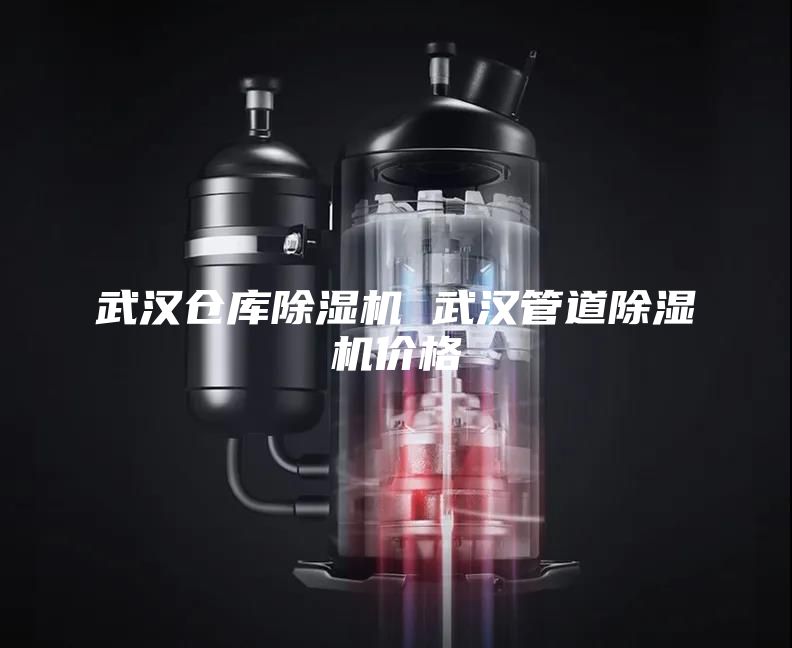 武汉仓库除湿机 武汉管道除湿机价格