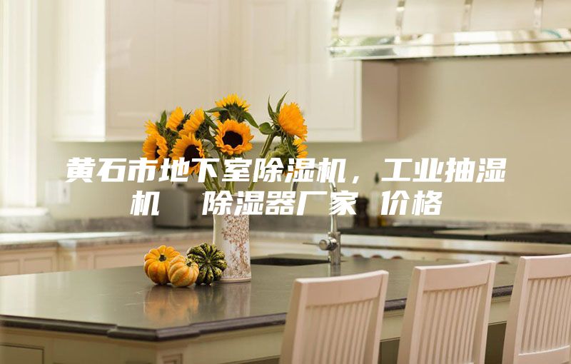 黄石市地下室除湿机，工业抽湿机  除湿器厂家 价格