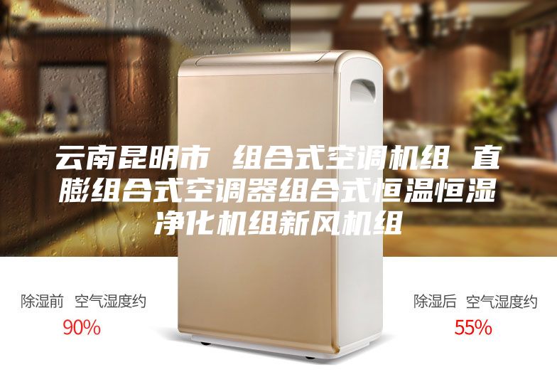 云南昆明市 组合式空调机组 直膨组合式空调器组合式恒温恒湿净化机组新风机组