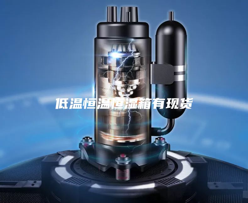 低温恒温恒湿箱有现货