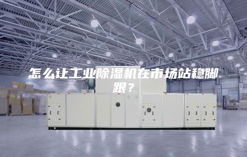 怎么让工业除湿机在市场站稳脚跟？