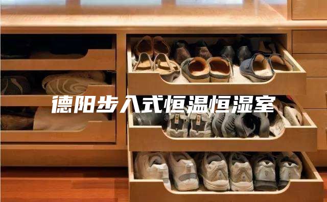 德阳步入式恒温恒湿室