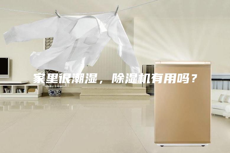 家里很潮湿，除湿机有用吗？