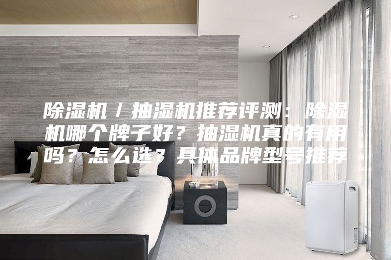 除湿机／抽湿机推荐评测：除湿机哪个牌子好？抽湿机真的有用吗？怎么选？具体品牌型号推荐