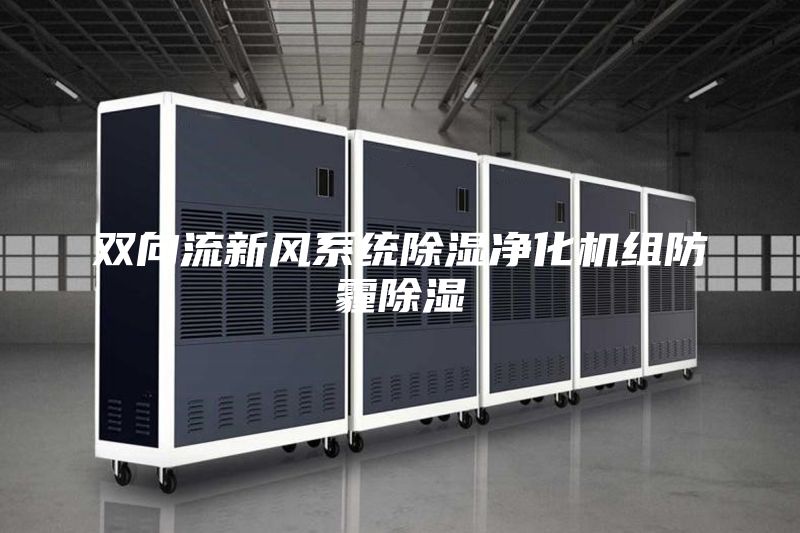 双向流新风系统除湿净化机组防霾除湿