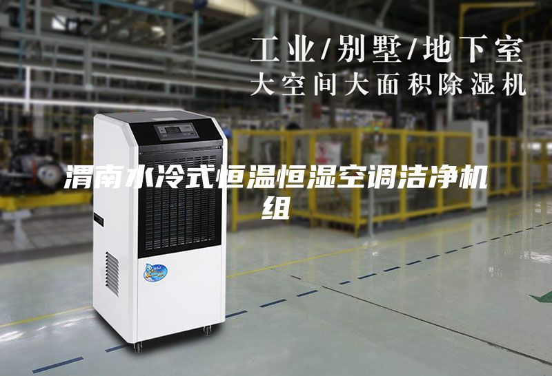 渭南水冷式恒温恒湿空调洁净机组