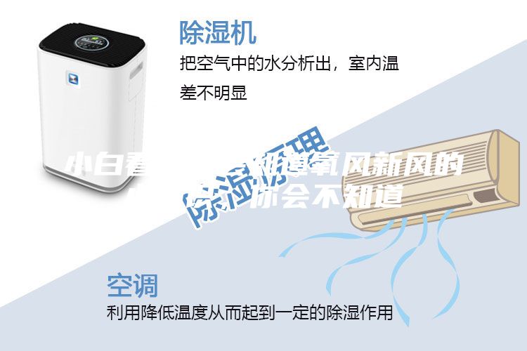 小白看了都会知道氧风新风的小知识，你会不知道