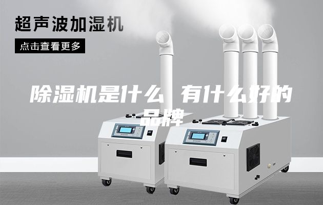除湿机是什么 有什么好的品牌