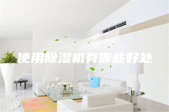 使用除湿机有哪些好处