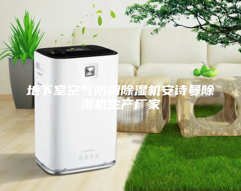 地下室空气防潮除湿机安诗曼除湿机生产厂家