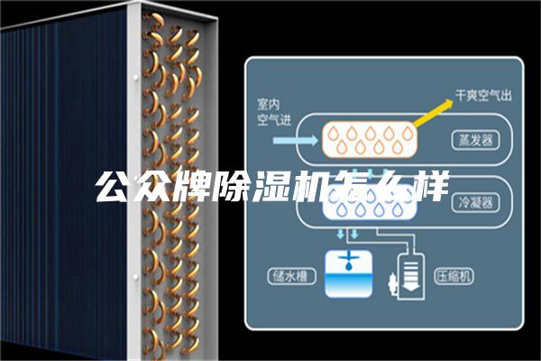 公众牌除湿机怎么样