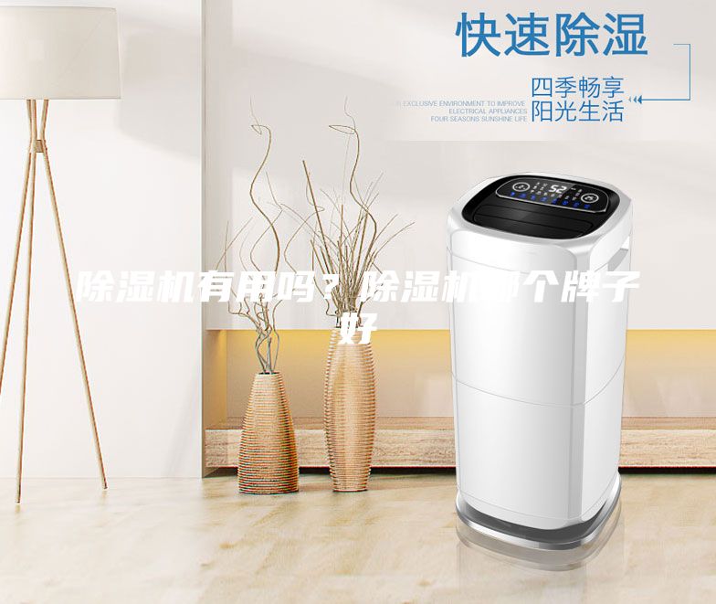 除湿机有用吗？除湿机哪个牌子好